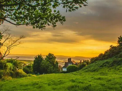 Gentle Evening Reflections