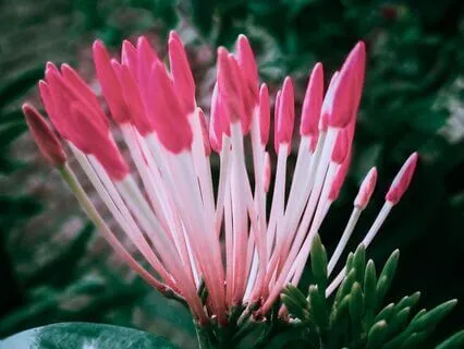 Gentle Eye Relaxation & Strengthening Practice