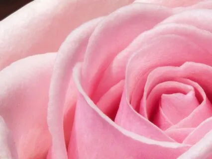 Gentle Flow — Gentle Guitar For Deep Relaxation