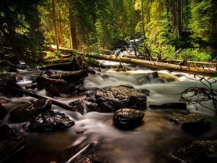 Gentle Flow