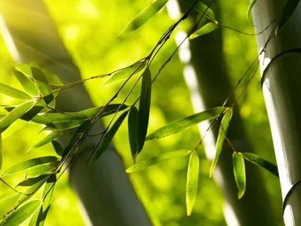 Gentle Flowing Mindful Movement (30 Minutes)