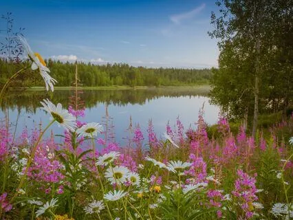 Gentle Glow: Reclaim Your Calm