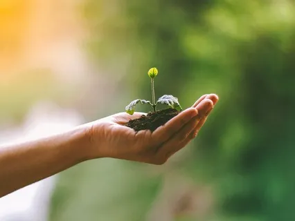 Gentle Gratitude Practice