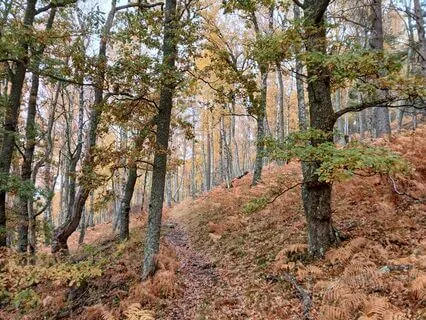 Gentle Grounding - A Moment Of Calm (with Music)