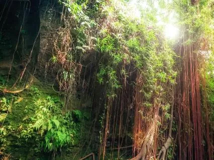 Gentle Grounding Meditation For Nervous System Regulation