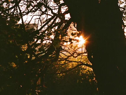 Gentle Guided Meditation 