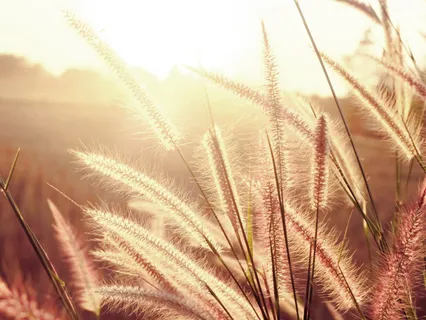 Gentle Affirming Practice