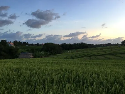 Gentle Guided Relaxation