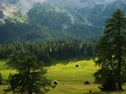 Gentle Healing Frequency Music For Anxiety (432 Hz)