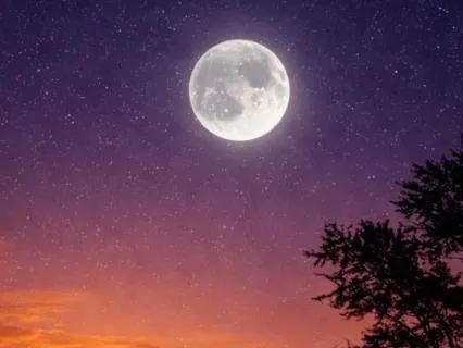 Gentle Healing Sleep: 8 Hour Soundscape (396Hz + 528Hz)