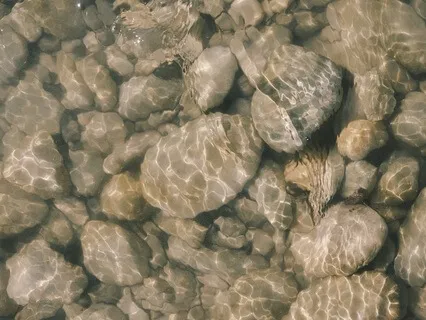 Gentle Lapping Water Sound For Stress Release & Calm