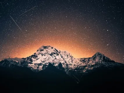 Gentle Life Of The Giant Panda