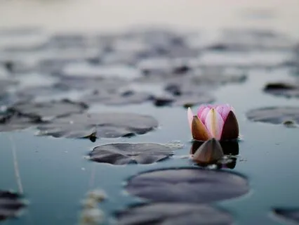 Gentle Mindful Breathing Practice