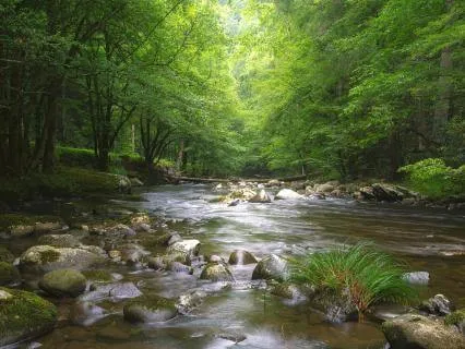 Gentle Mindfulness Practice