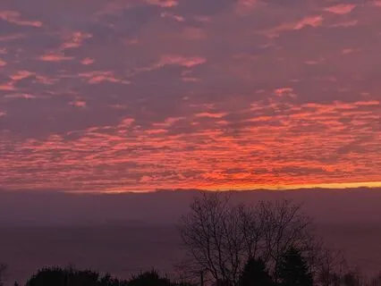 Gentle Mobility To Start Your Day