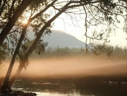 Gentle Morning Guidance (852 Hz Solfeggio Tones)