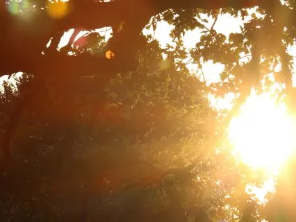 Gentle Morning Meditation