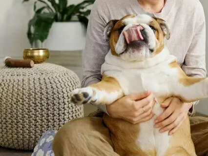 Everyday Awakening: Gentle Morning Movements In Bed