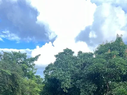 Morning Reset: A Soft Start After A Hard Night