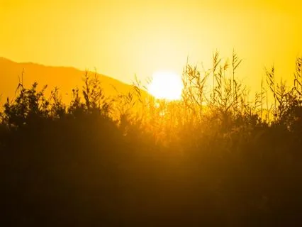 Gentle Morning Reset: Nervous System Activation And Calm