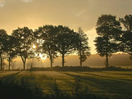Gentle Morning Sunlight
