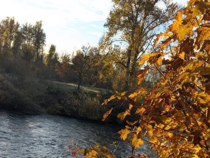 Gentle Movement Into Meditation