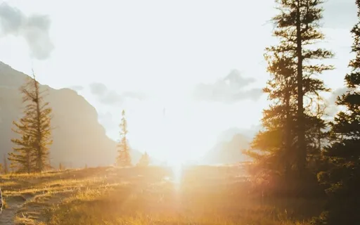 Gentle Movement Morning Flow