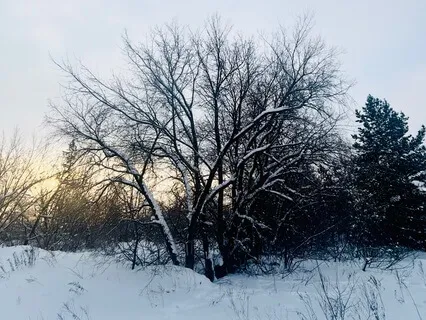 Gentle Music For Meditation, Relaxation, Sleep And Healing