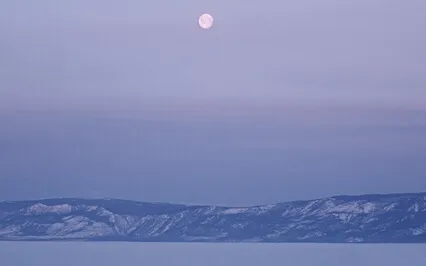 Gentle Nature Background Ambience With Gulls