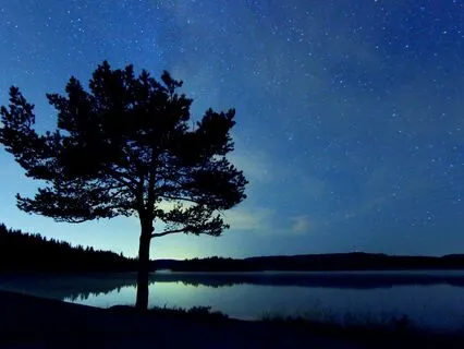 Gentle Night: Calm Down And Sleep