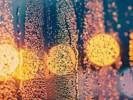 Gentle Night Rain For Deep Sleep (10 Hours)