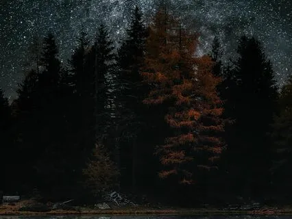 Gentle Nightfall: Release And Recharge