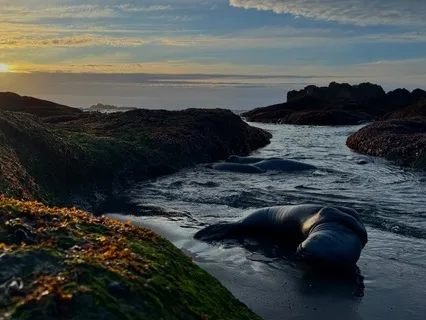 Gentle Ocean Waves For A Peaceful Sleep