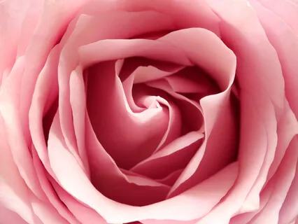 Gentle Pelvic Mindful Movement