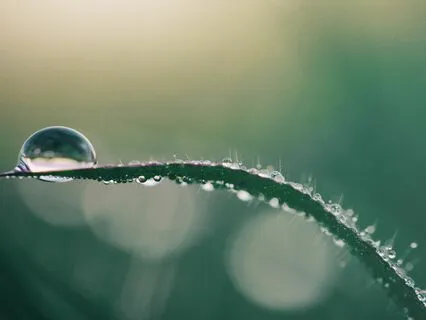 Gentle Piano Ambience And Rain