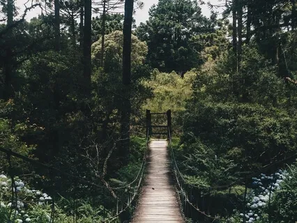 Gentle Piano For Reading