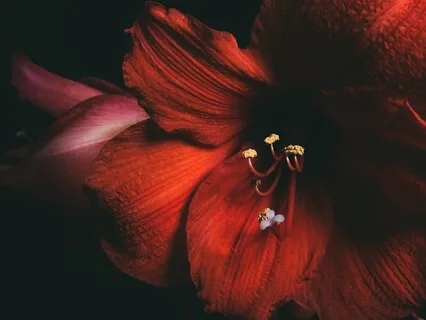 Gentle Piano Meditation