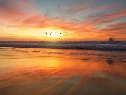 Gentle Piano Relaxation