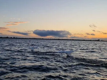 Gentle Piano Waves (Music for Stress Relief)