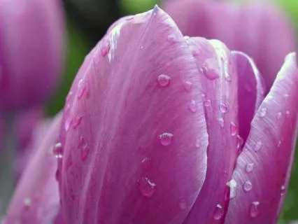 Gentle Presence – Music for Focus and Relaxation
