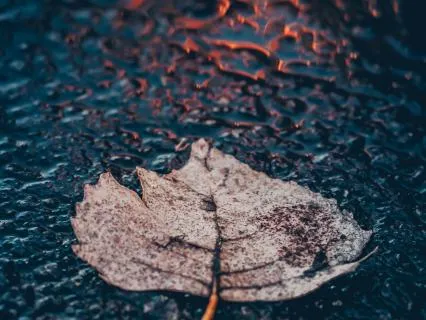 Gentle Rain And Calm Piano For Sleep