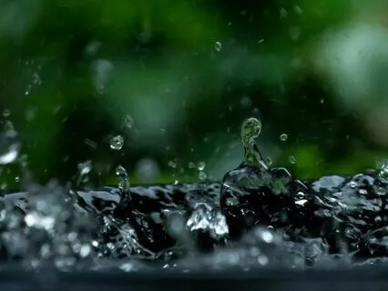 Gentle Rain And Distant Thunder