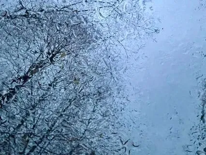 Gentle Rain And Music For Deep Sleep 7 Hours