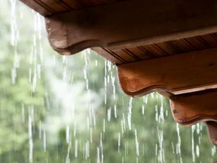 Gentle Rain And Sound Immersion