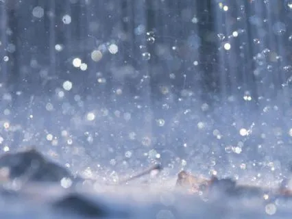 Gentle Rain For Sleep | 8 Hours