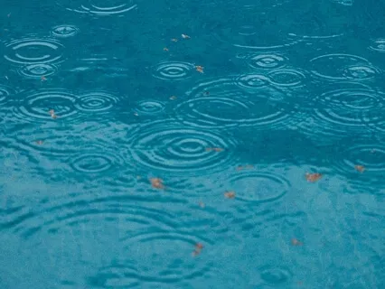 Gentle Rain Recorded From My Rooftop