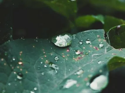 Gentle Rain Reflections - Warm Piano For Sleep