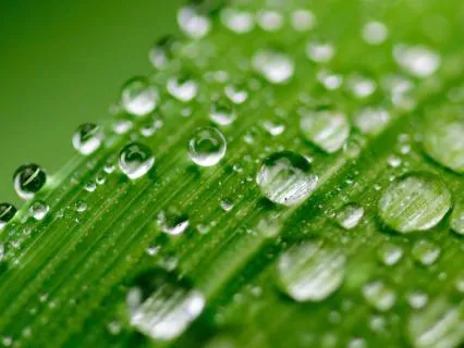 Gentle Rain: Sleep, Study & Relaxation (1 Hour) (No Music)