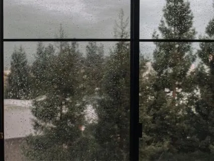 Gentle Rain Sound Therapy