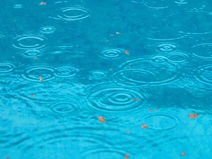 Gentle Rain Sounds For Deep Sleep ~ Nature White Noise